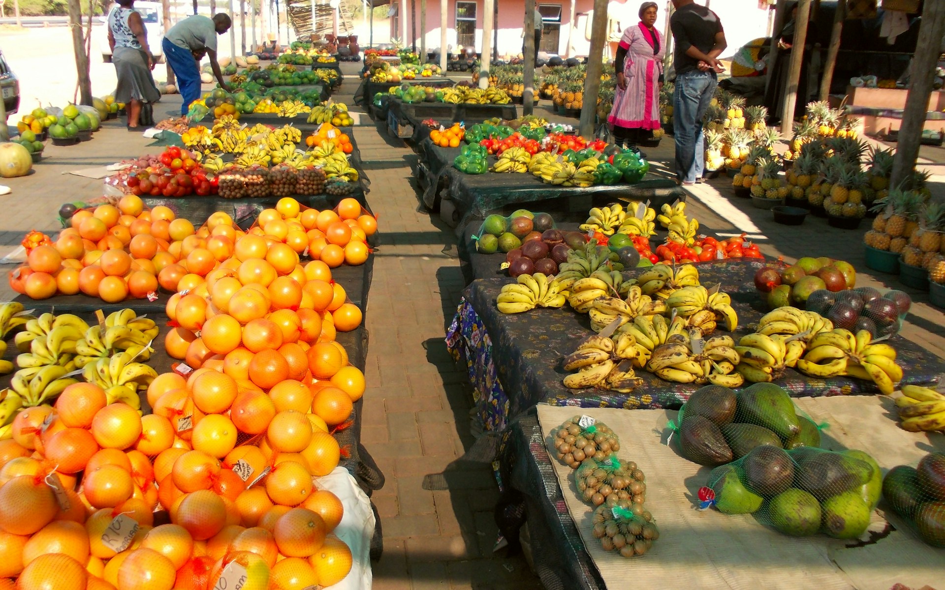 The Future of Food Security